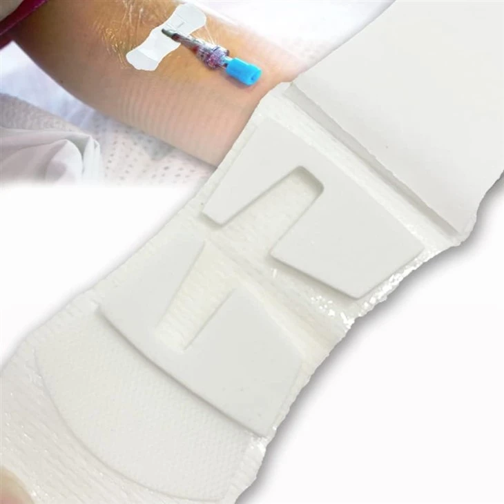 Securement Fixation Device